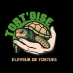 tort'oise